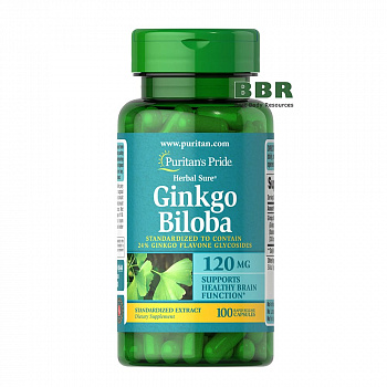 Ginkgo Biloba 120mg 100 Caps, Puritans Pride