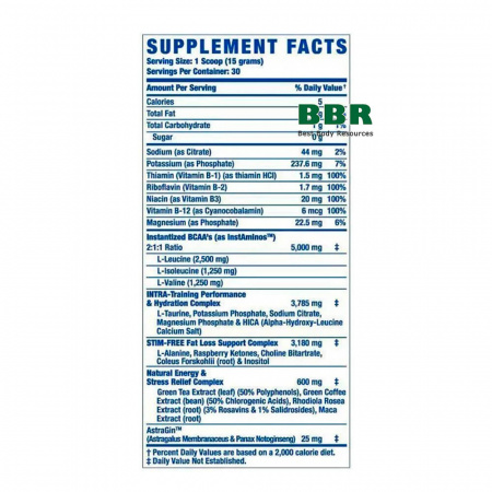 Amino-Tone + Energy 450g, Ronnie Coleman