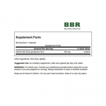 Vitamin B6 Pyridoxine 100mg 250 Caps, Swanson