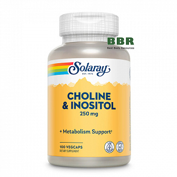 Choline & Inositol 250mg 100 Veg Caps, Solaray