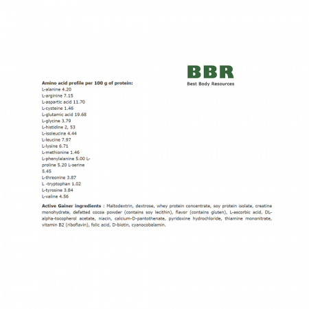 Active Gainer 1000g,ActiWay