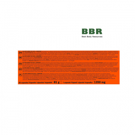 CLA with Green Tea plus L-Carnitin Sport Edition 60 Caps, Olimp