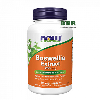Boswellia Extract 250mg 120 Veg Caps, NOW Foods