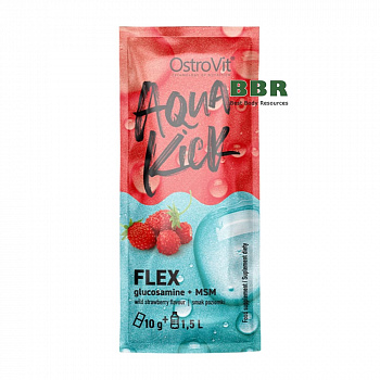 Aqua Kick Flex Glucosamine + MSM 10g, OstroVit