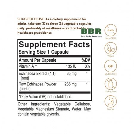 Echinacea 100 Veg Caps, Solgar