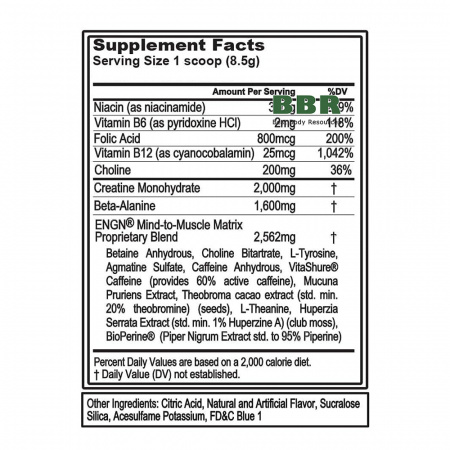 Пробник Pre-Workout ENGN 1 Serving, EVL