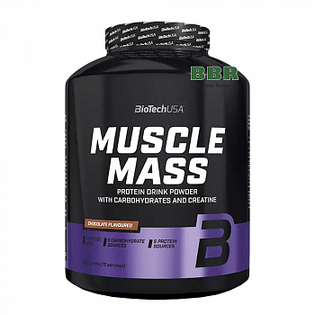 Muscle Mass 4000g, BioTechUSA