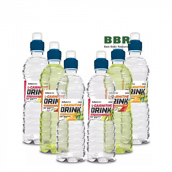 L-Carnitine Drink 500ml, BioTechUSA