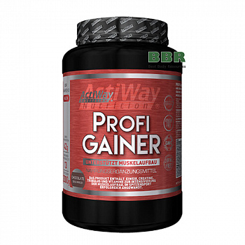 Profi Gainer 2kg, ActiWay