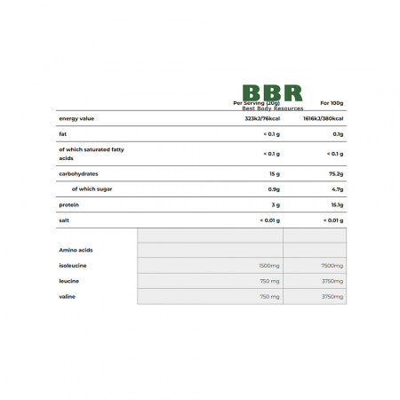 BCAA Professional 500g, German Forge