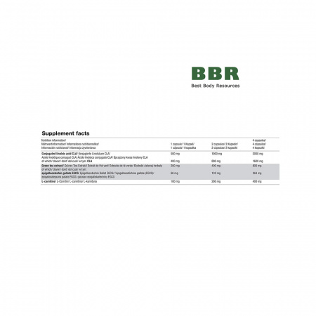 CLA with Green Tea plus L-Carnitin 60 Caps, Olimp