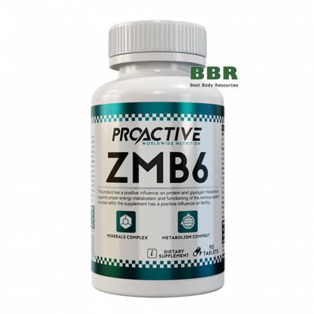 ZMB6 90tab, ProActive ZMB6 90tab, ProActive
