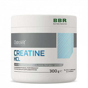 Creatine HCL 300g, OstroVit