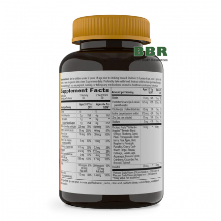 Alive Kids Gummy Multivitamin 60 Gummies, Nature's Way