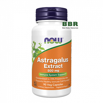 Astragalus Extract 500mg 90 Veg Caps, NOW Foods