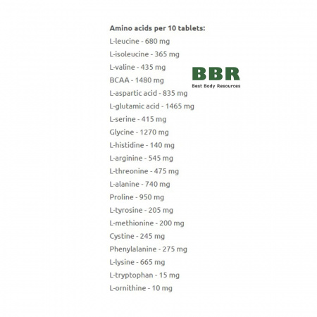 Perfect Amino 10000 300 Tabs, Skull Labs