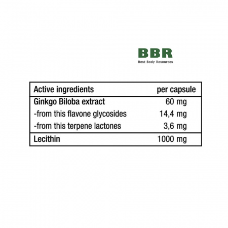 Ginkgo Biloba + Lecithin 1000mg 90 Caps, BioTechUSA