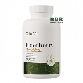 Elderberry Extract 330mg 90 Caps, OstroVit