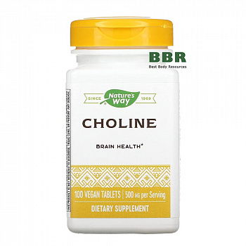 Choline 500mg 100 Veg Tabs, Nature's Way