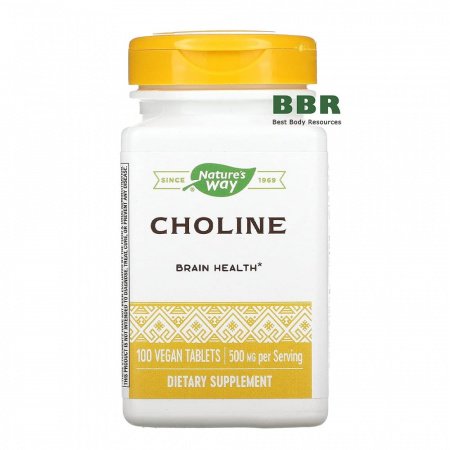 Choline 500mg 100 Veg Tabs, Nature's Way