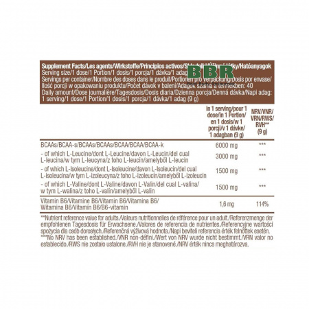 Vegan BCAA 360g, BioTechUSA