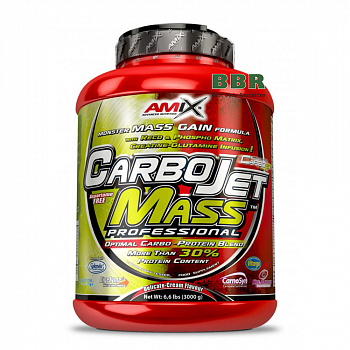 CarboJET Prof 3000g, Amix