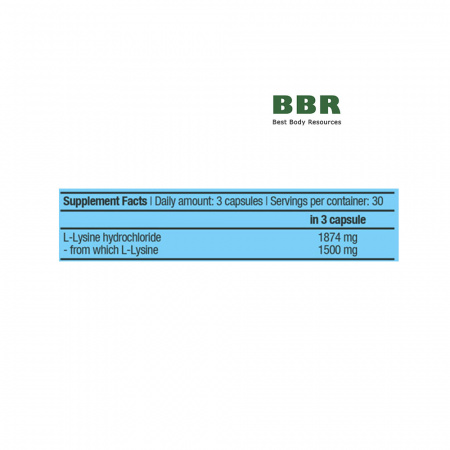 L-Lysine 90 Caps, BioTechUSA