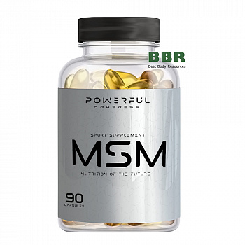 MSM 1000mg 90 Caps, Powerful Progress