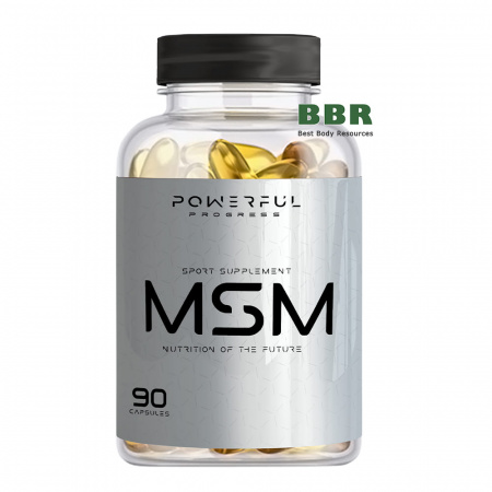 MSM 1000mg 90 Caps, Powerful Progress