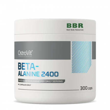 Beta-Alanine 800mg 300 Caps, OstroVit Beta-Alanine 800mg 300 Caps, OstroVit