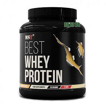 Best Whey Protein plus Enzyme 510g, MST Nutrition