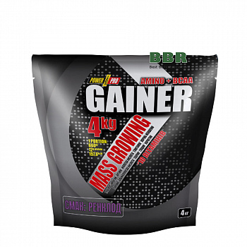 Gainer 4kg, PowerPro
