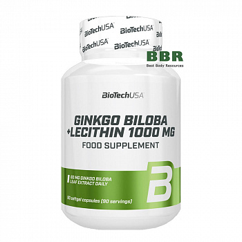 Ginkgo Biloba + Lecithin 1000mg 90 Caps, BioTechUSA